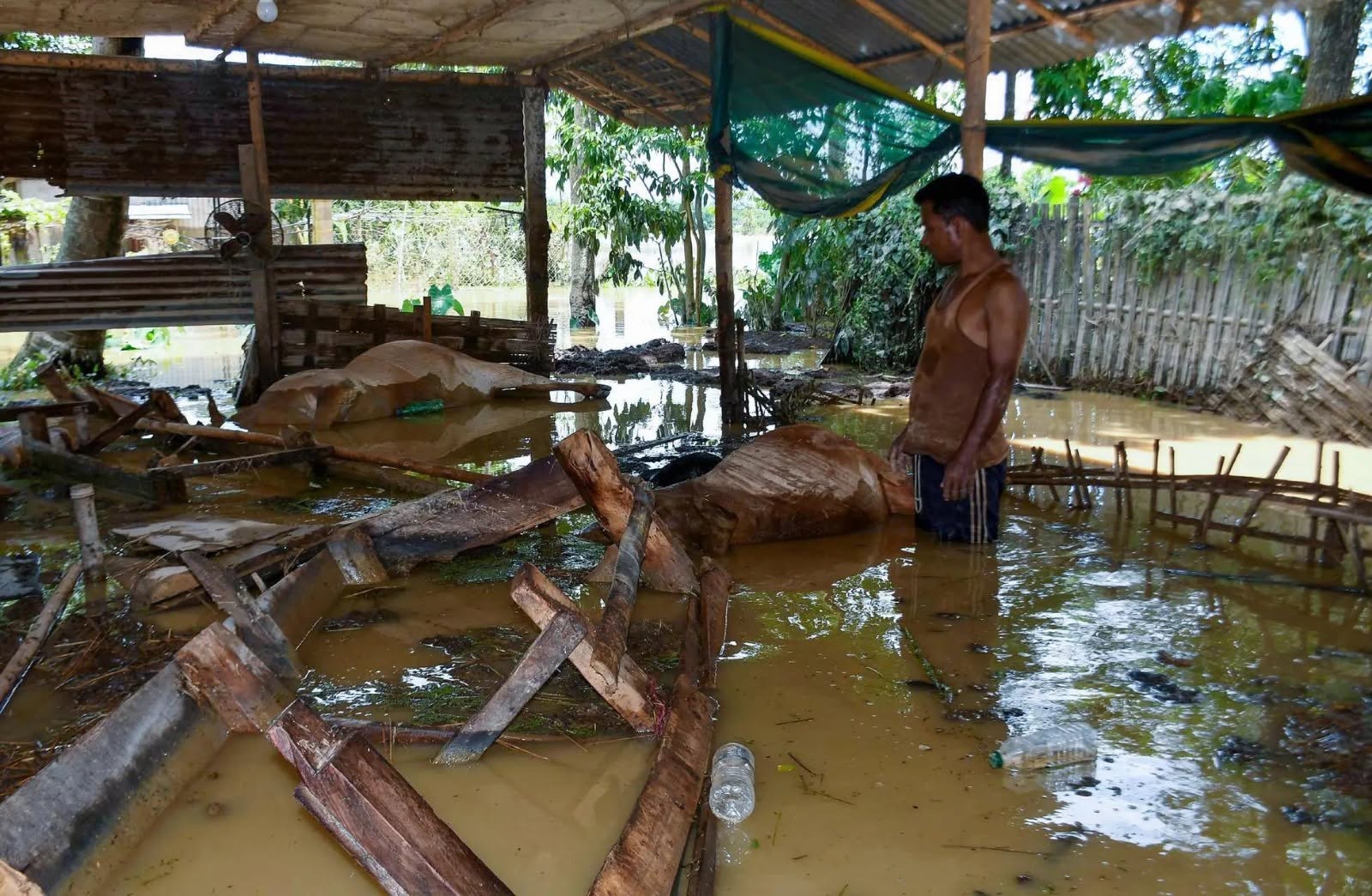 Current Assam flood situation