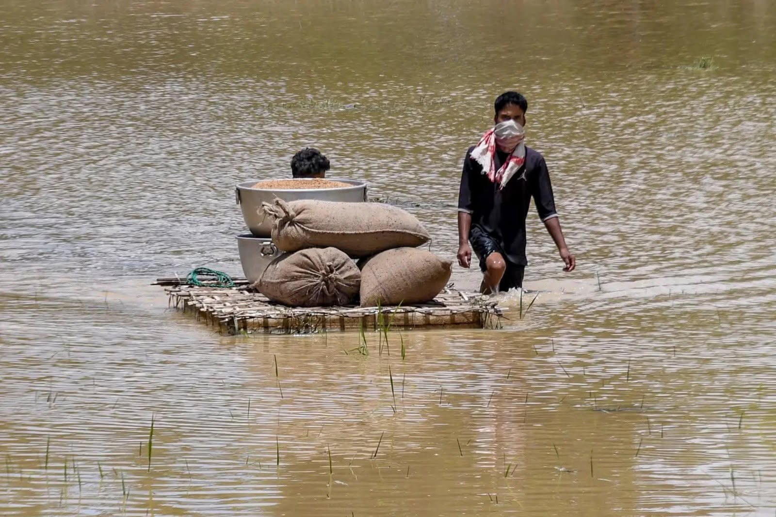 Current Assam flood situation
